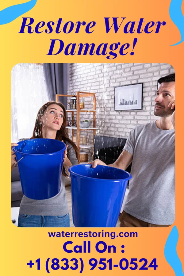 water restoration Allied Water Removal LLC Wesley Chapel